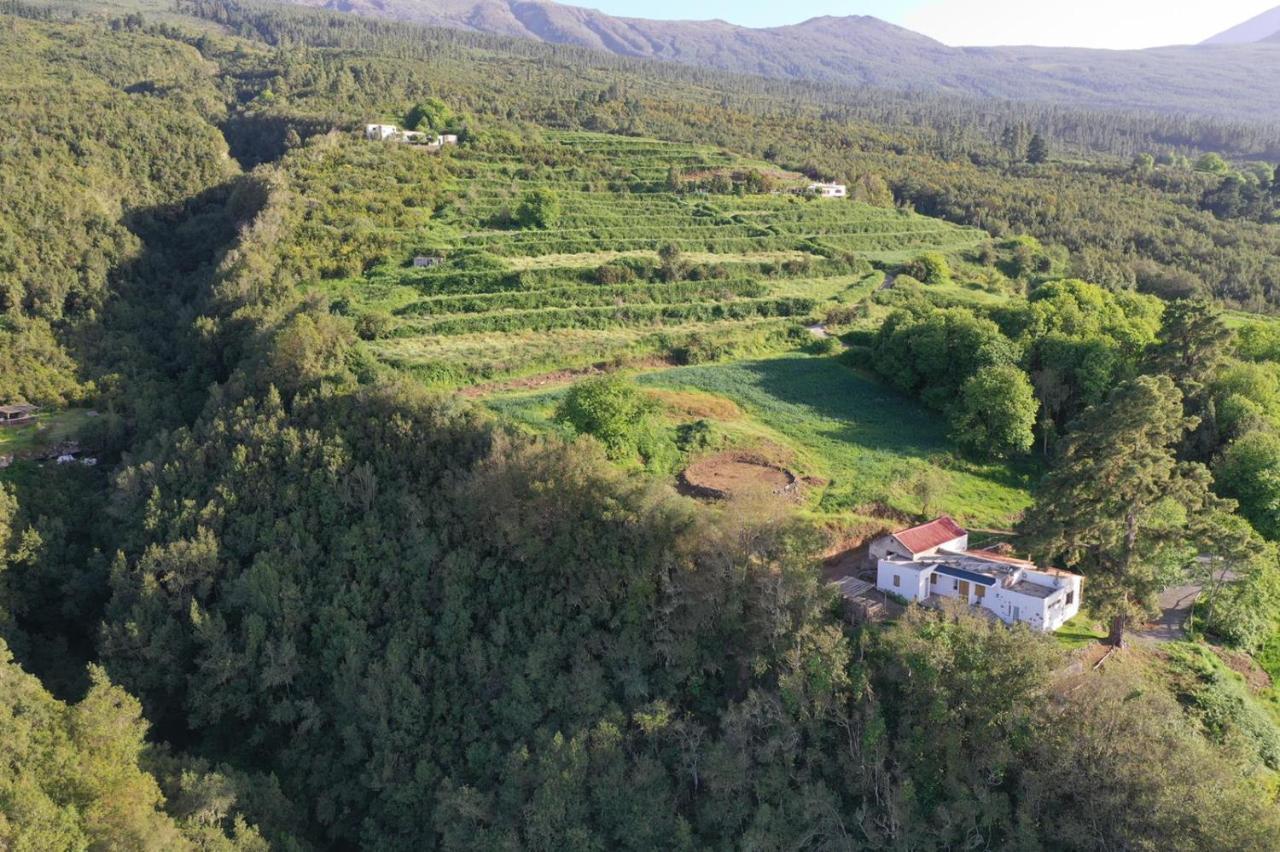 El Pino Centenario 8 La Orotava Exteriér fotografie