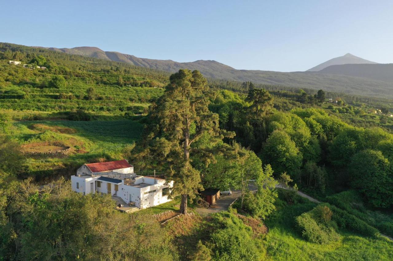 El Pino Centenario 8 La Orotava Exteriér fotografie